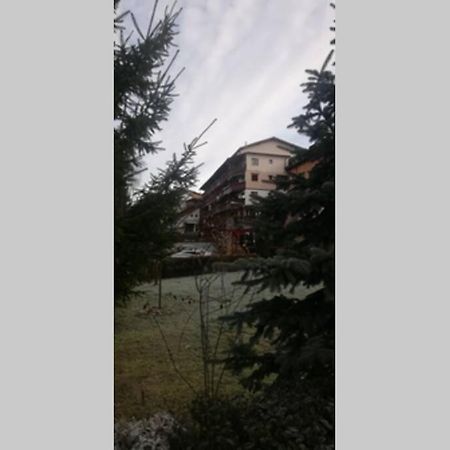 Large Vacation Apartment In Poiana Brașov Zewnętrze zdjęcie