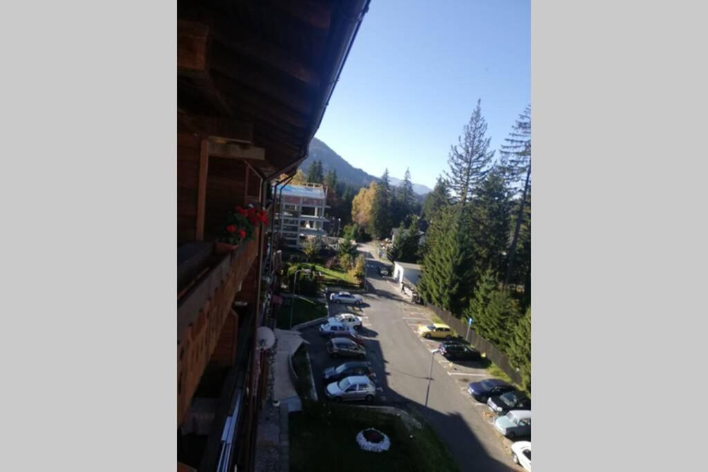 Large Vacation Apartment In Poiana Brașov Zewnętrze zdjęcie