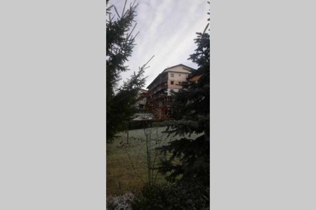 Large Vacation Apartment In Poiana Brașov Zewnętrze zdjęcie