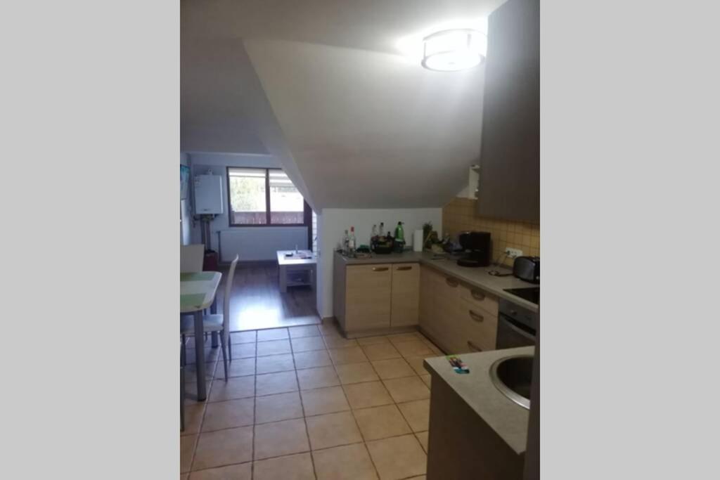 Large Vacation Apartment In Poiana Brașov Zewnętrze zdjęcie
