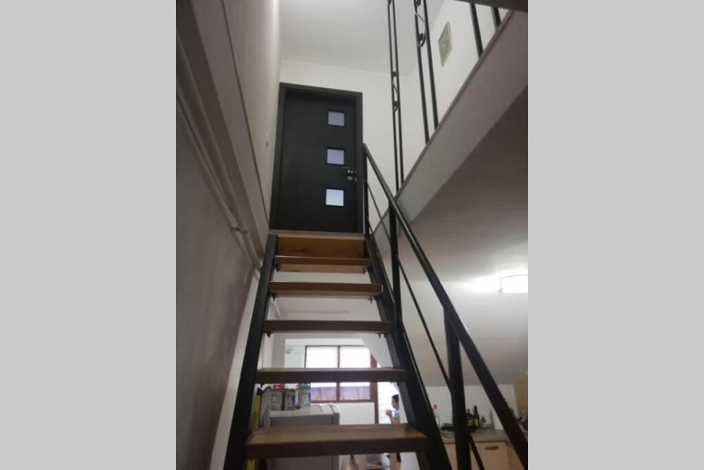 Large Vacation Apartment In Poiana Brașov Zewnętrze zdjęcie