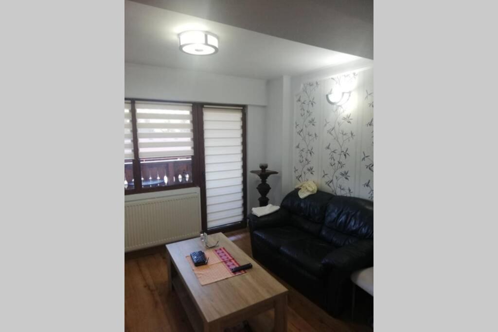 Large Vacation Apartment In Poiana Brașov Zewnętrze zdjęcie